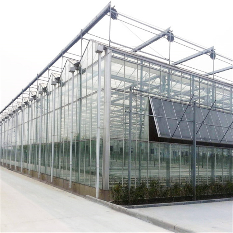 河北丰之源连栋 玻璃温室 智能玻璃温室 钢架温室大棚 人工智能温室