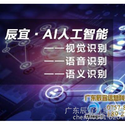 人工智能_辰宜科技_人工智能数据采集