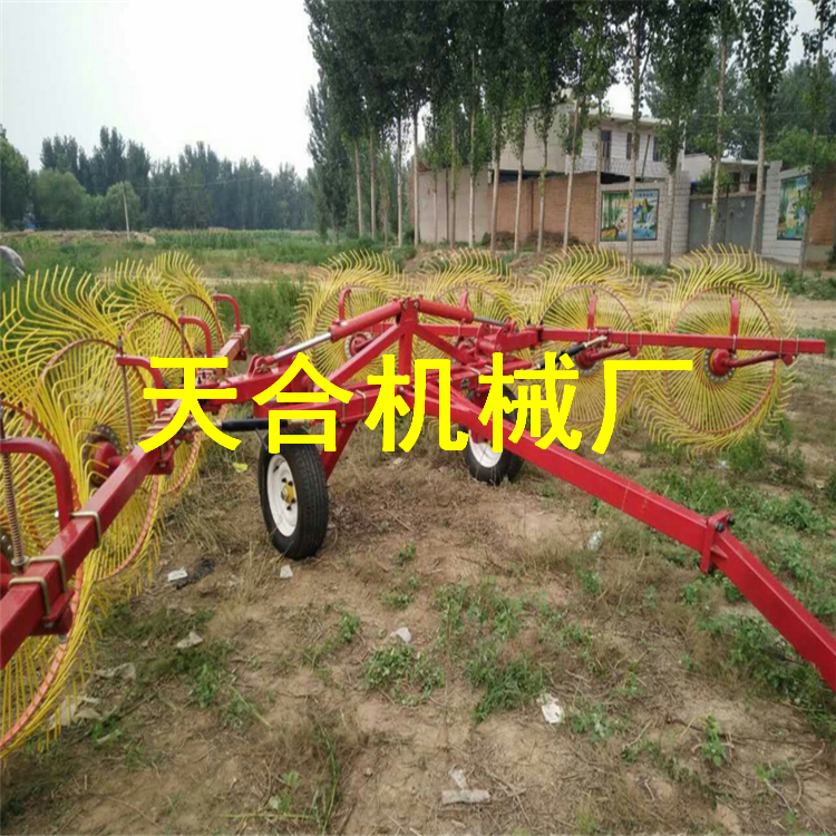 天合 农业机械搂草机